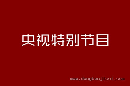 央视特别节目